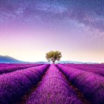 equinozio di primavera