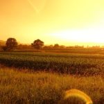 tradizioni di luglio