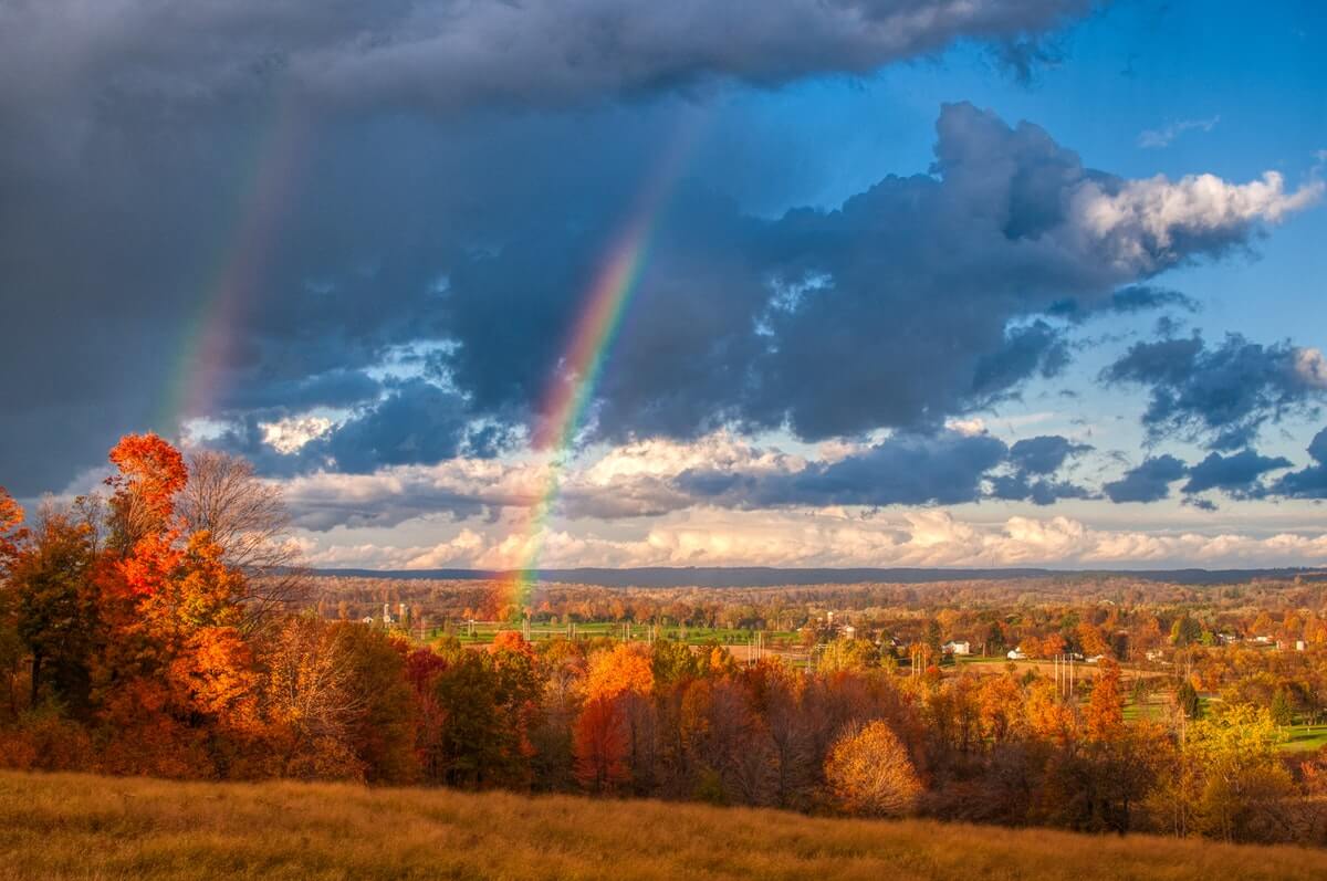 arcobaleno-in-una-prateria