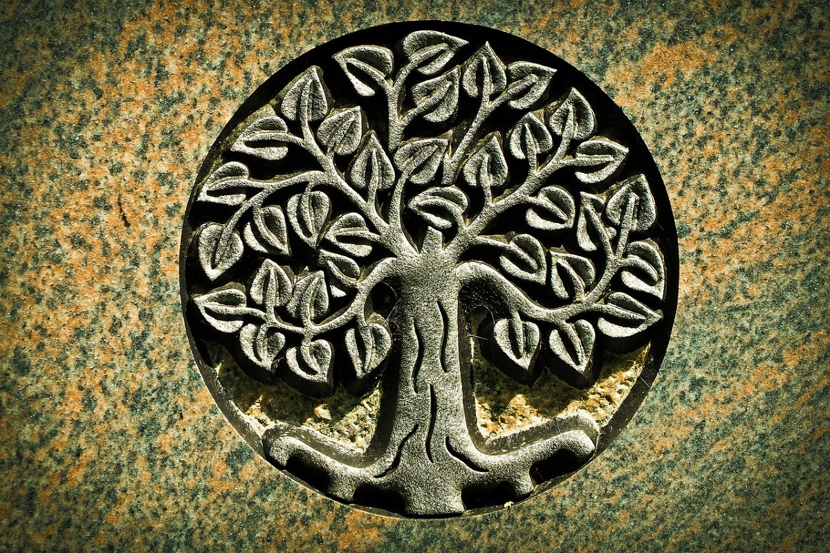 albero della vita