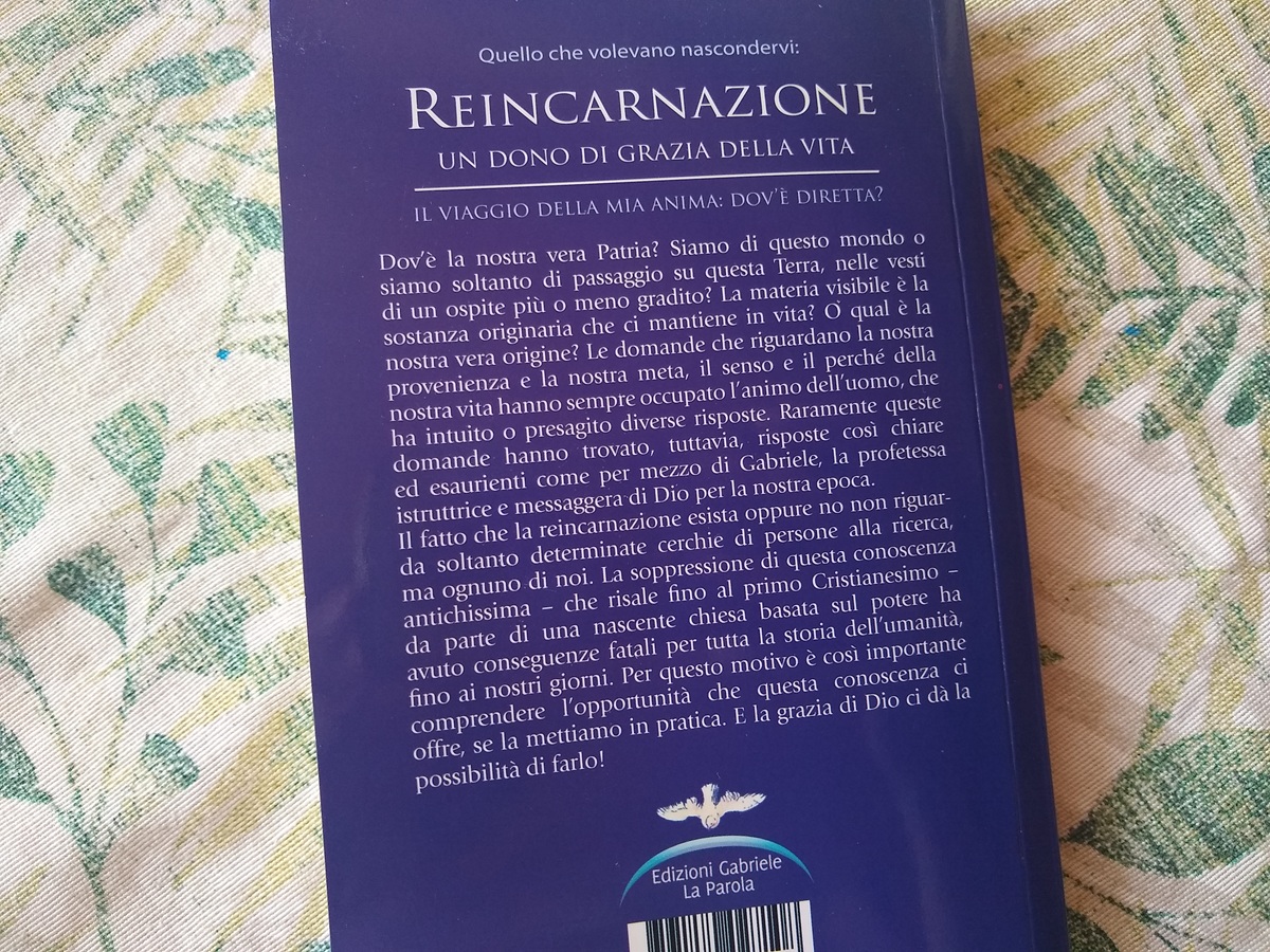 Quarta di copertina libro "Reincarnazione"