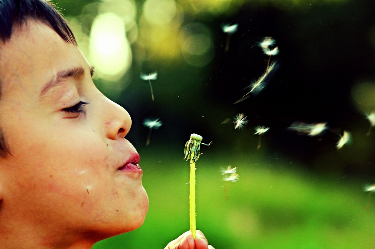 bambino che soffia un soffione