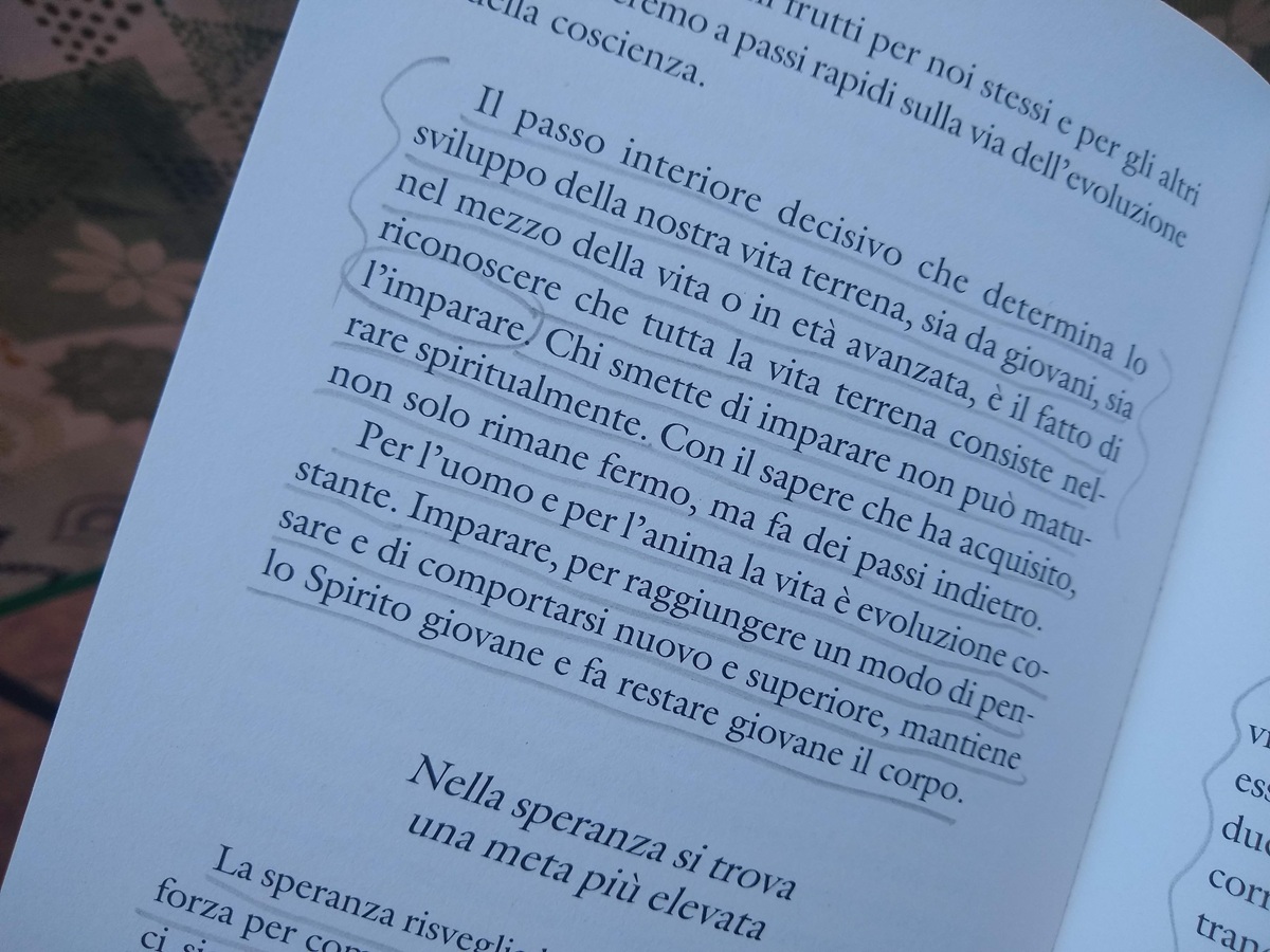 pagina interna del libro