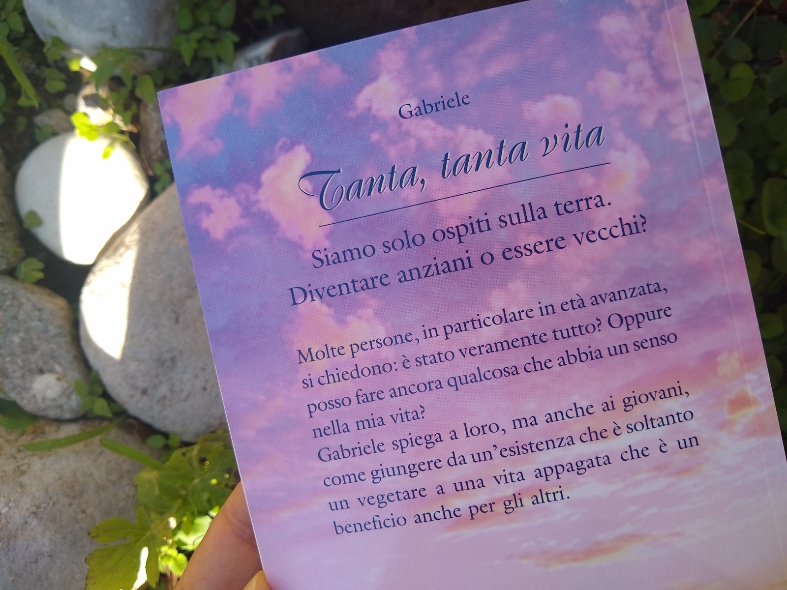 quarta di copertina del libro