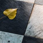 foglia caduta sul pavimento